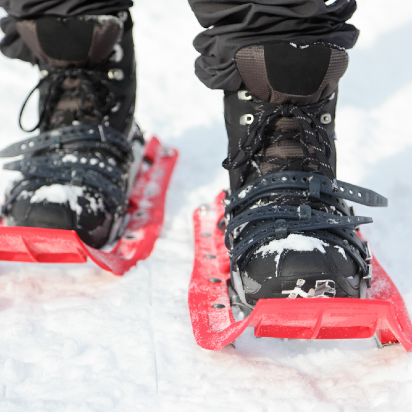 Snowshoe Rental Services Newaygo, MI 37 North